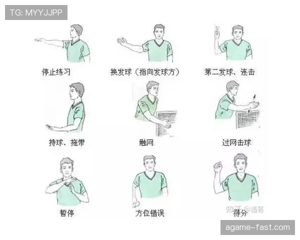 裁判手势规则解析：详解常见手势含义与适用场景